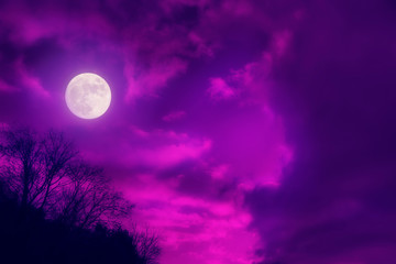 the landscape is full moon of proton plastic purple pink clouds night