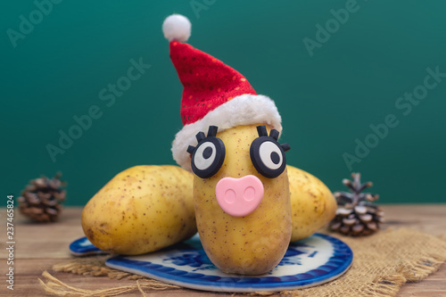 Cuadros en Lienzo pig in christmas hat made of potato. symbol of 2019