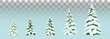Firs in the snow.  set of Christmas trees with snow. Isolated. Festive decor. Drawing. Christmas. Vector illustration. Eps 10.