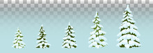 Firs In The Snow.  Set Of Christmas Trees With Snow. Isolated. Festive Decor. Drawing. Christmas. Vector Illustration. Eps 10.