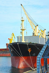 Bulk cargo ship under port crane