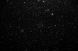 Real falling snow isolated on a black background. For use as layer snow in your project.