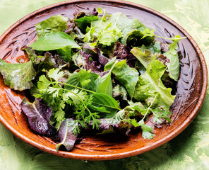 Fresh green salad