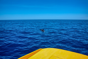 Canvas Print - Teneriffa