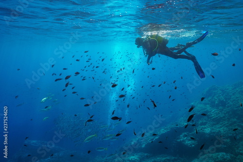 Fotografie, Obraz Scuba diver on water surface look at shoal of fish underwater, Mediterranean sea