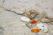 Pollution : Beach / Sea pollution. Glass bottles in the sea with sea anemone and dead coral. Selective focus with copy space.