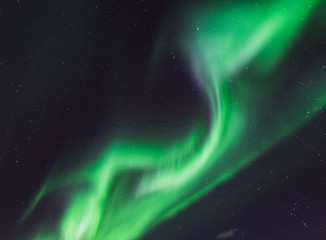 Wall Mural - the polar arctic northern lights aurora borealis sky star in norway svalbard in longyearbyen city mo