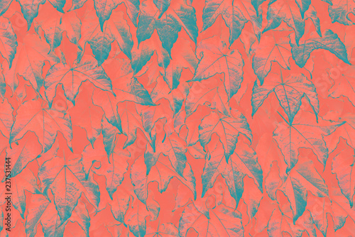 abstract-natural-leaves-background-living-coral-creative-and-moody-color-of-the-picture