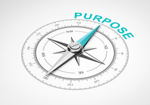 Compass On White Background, Purpose Concept