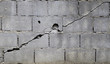 broken block cement wall