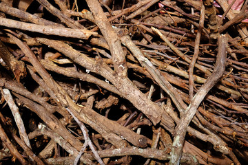 Sticker - Pile of tree branches composition as a background texture