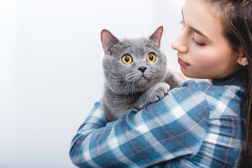 Wall Mural - young woman holding beautiful grey british shorthair cat