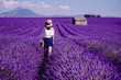 Lavender field - Valensole, France - So violet! Enjoy active summer on the lavender field. One touristic place is in Valensole, France. So impressive! nThe violet everywhere!