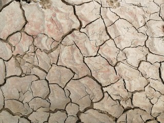 Canvas Print - surface dry soil for background