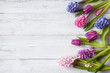 Flowers hyacinths and tulips on wooden white background