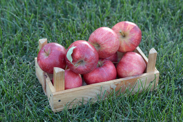 apple and crate on grass