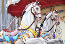 Beautiful White Horses Christmas Carousel In A Holiday Park. Two Horses On A Traditional Fairground Vintage Paris Carousel. Merry-go-round With Horses.