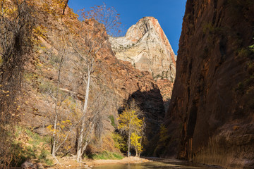 Sticker - The Narrows Zion National Park Utah in Autumn