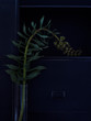 © Michael - Abstraktes Blumen Stillife vor Metall Regal