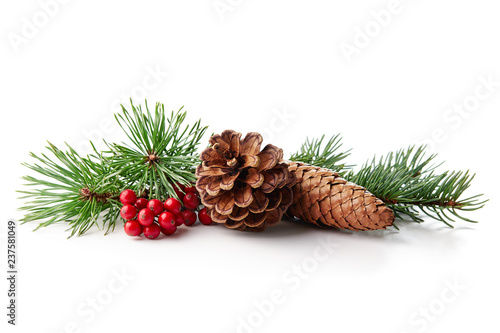 Fotografía Christmas decoration of holly berry and pine cone