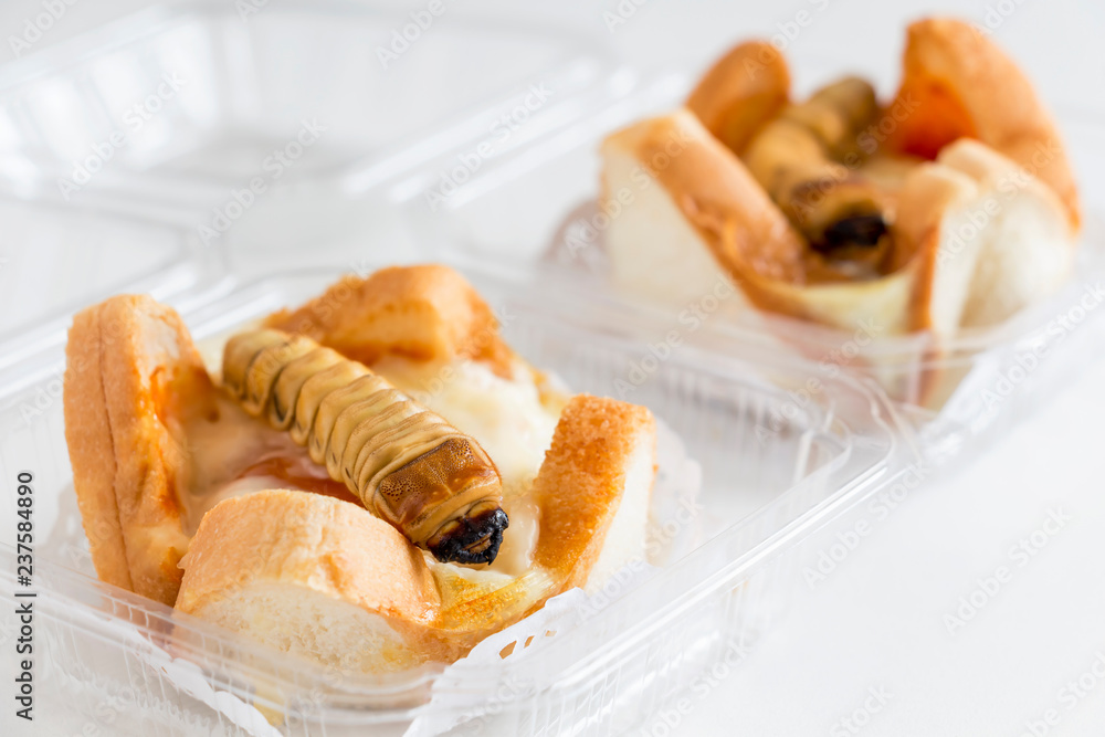 Food Insects: Worm beetle for deep-fried as food items in bread ...