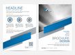 © tumindy - Brochure template flyer design vector background