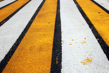 Modern Yellow And White Zebra Crossing In The Autumn Russian City