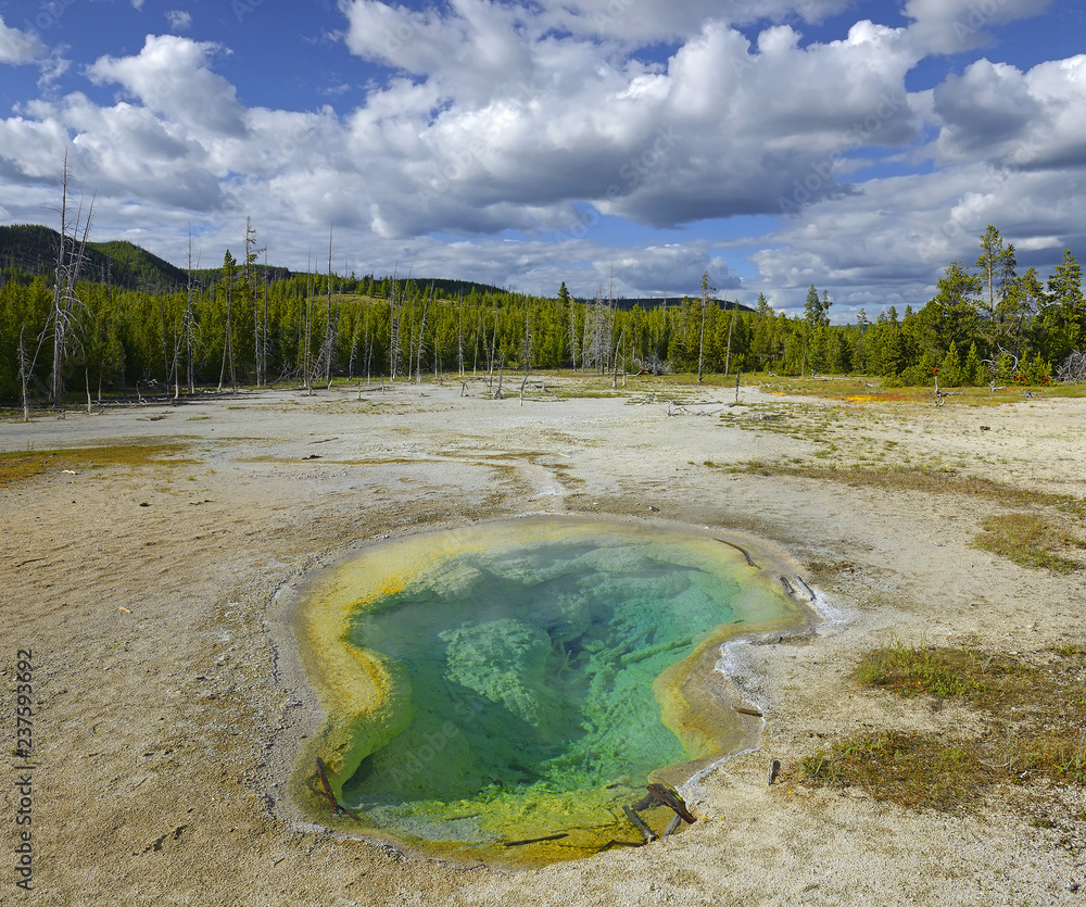 Scenic Landscapes of Geothermal activity of Yellowstone National Park ...
