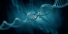 3d Render Of Dna Structure, Abstract Background