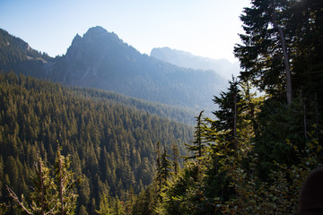 Wall Mural - Lost in the woods, what else can I ask? Trapped by its beauty and breathing its soul. Lost in the mountains, higher than the clouds, cuddle by the wind, and amazed by the sun.