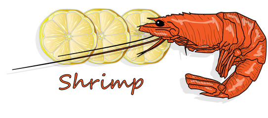 Red cooked prawn or tiger shrimp vector illustration isolated on white background