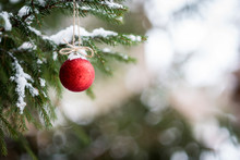 Winter Scene In Spruce And Pine Trees Of One Isolated Red Christmas Holiday Ornament.  Bulb Is Tied With Twine Hanging In Snow Covered Branches. Soft Focus, Bokeh Background. Shallow Depth Of Field. 