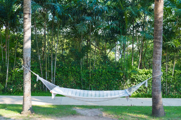 Empty white hammock hanging between two palm trees in garden with green field near the beach.