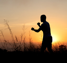 Silhouette fist boxer near grass to sunset.