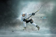 © Andrii IURLOV - ice hockey Players in dynamic action in a professional