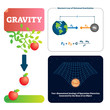 Gravity vector illustration. Explained natural force to objects with mass.