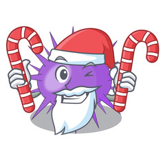 Sticker - Santa with candy sea urchin isolated on a character