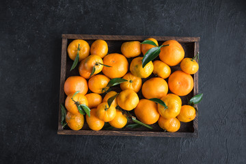 Wall Mural - Tangerines (clementines)