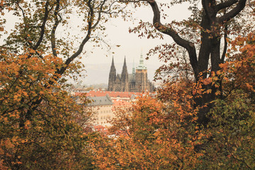 Cathedral of Saint Vita Prague Czech Republic