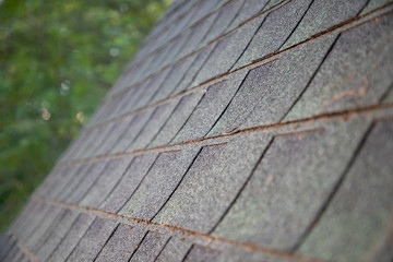 Wall Mural - dark green roof shingles background and texture   with leafs. Asphalt rooftop and tree background.