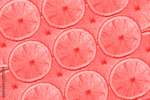 living-coral-color-of-the-year-2019-pattern-of-grapefruit-slices-abstract-background