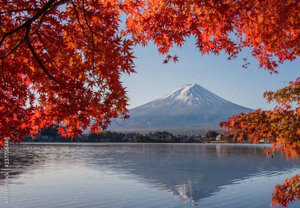 Wall Murals Mount Fuji Autumn In Mt Fuji Japan Lake
