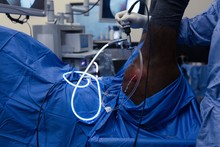 Female Surgeon Examining A Horse In Operation Theatre