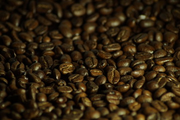 Coffee beans background