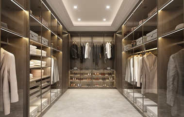 Luxury modern men dressing room