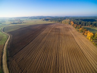 Canvas Print - Country road with colorful maple trees through the hilly terrain during the autumn season, Mazury, Poland