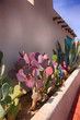 Purple Prickly Pear cactus and Agave against a wall in old Las Cruces NM