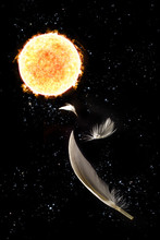 Icarus Falling Feathers Sun