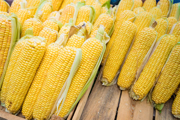 Sticker - Raw corn in market