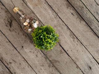 Wall Mural - top view light bulb with coin and tree on wood table. concept of cost reduction and reduce energy. t